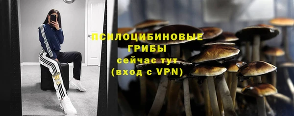 2c-b Алзамай