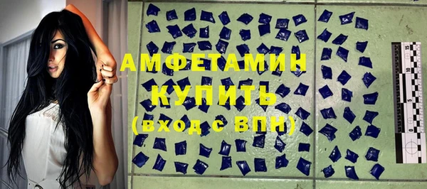 гашик Алексеевка