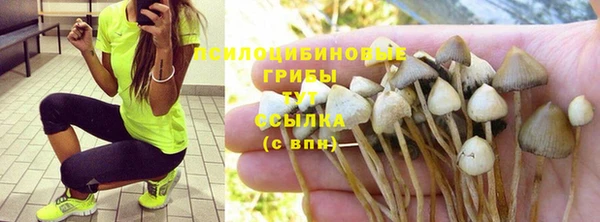 2c-b Алзамай