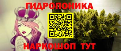 spice Бийск