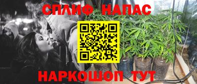 spice Бийск