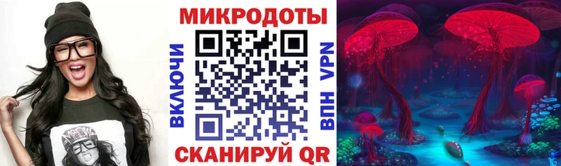 Галлюциногенные грибы прущие грибы Асино