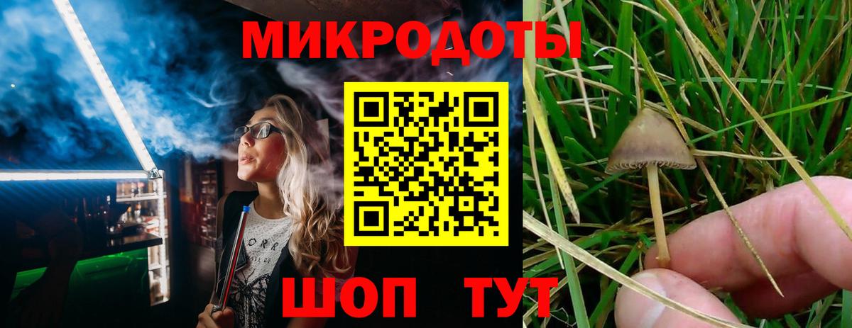 Псилоцибиновые грибы мицелий  Вход с VPN  Галлюциногенные грибы MAGIC MUSHROOMS  Асино 